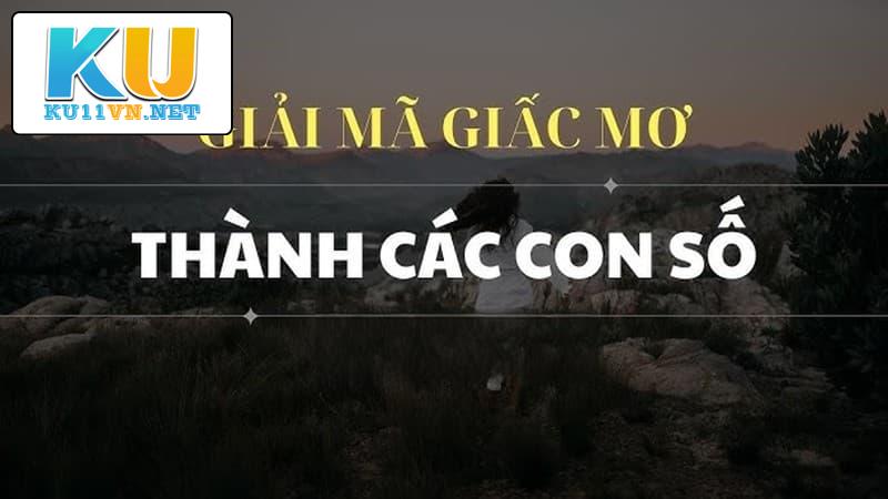 Bạn có mắc sai lầm nào khi giải mã giấc mơ không?