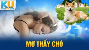 Mơ Thấy Chó Đánh Số Gì - Chuyên Gia KU11 Giải Mã