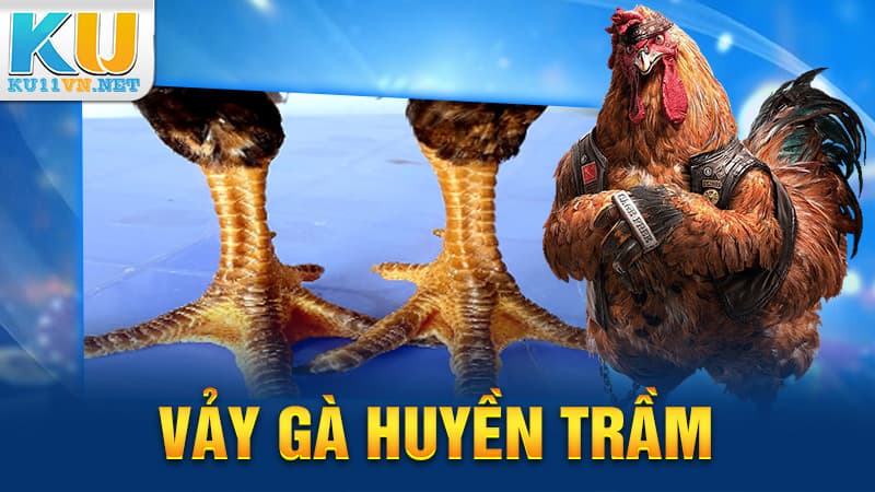 Vảy Gà Huyền Trâm - Linh Kê Giới Chọi Gà KU11