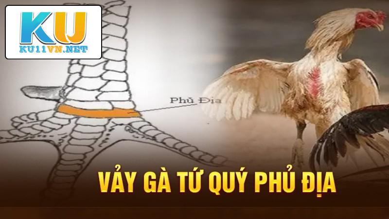 Vảy gà phủ địa có sự đa dạng về chủng loài