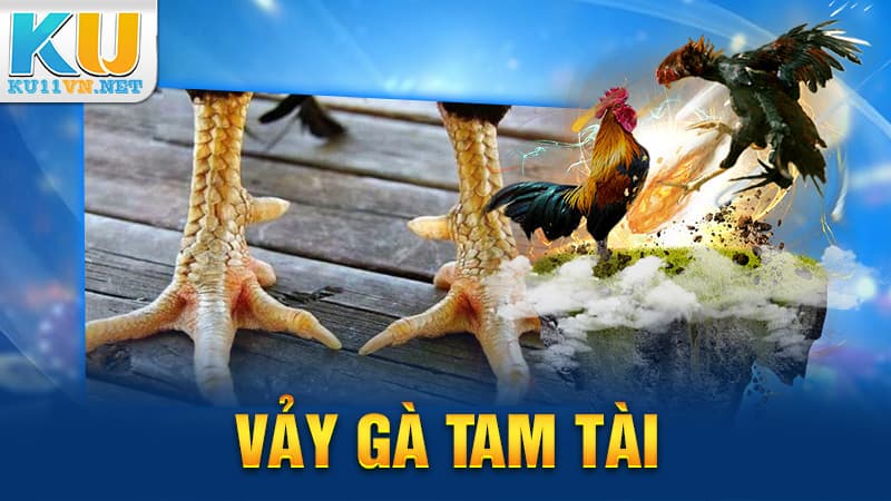 Cái Tên Vảy Gà Tam Tài KU11 Từ Đâu Mà Có?